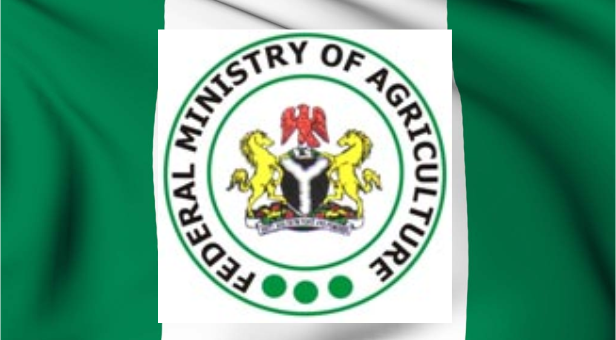 FG woos foreign investors in agribusiness –Perm Sec