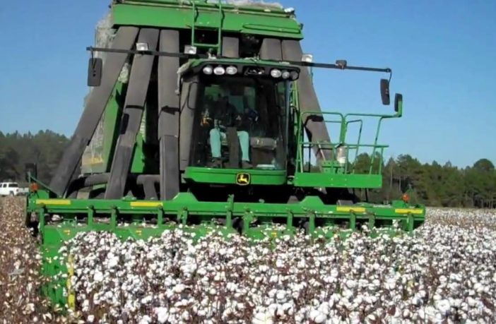 The National Cotton Association of Nigeria(NACOTAN), has stressed the need for the Federal Government to re- introduce the Nigeria Cotton Standard.