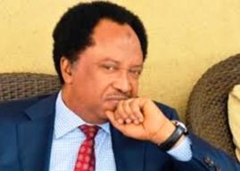 Don’t Participate In Protest Organised By Spirits, Sani Tells Nigerians