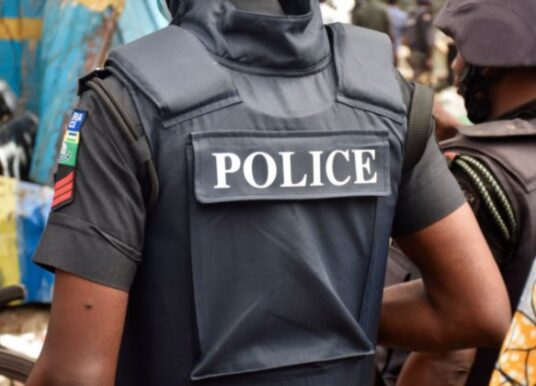 Kano Police Arrest Principal Suspect In Homicide Case After 6 Years