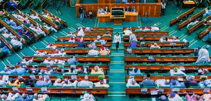 Reps Consider Bill To Stop Perpetual Occupation Of Public Office In Acting Capacity